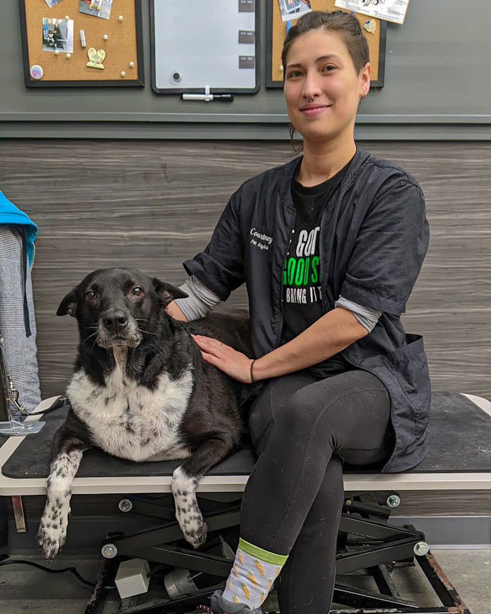 Courtney Rediker sitting with a dog on the grooming table inside the Feather Touch van